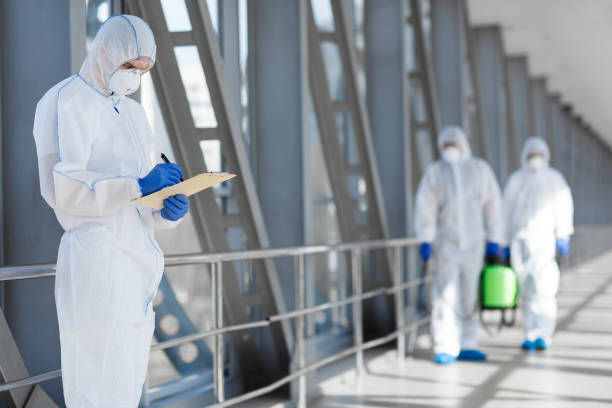 Best Black Mold Removal  in Middletown, KY