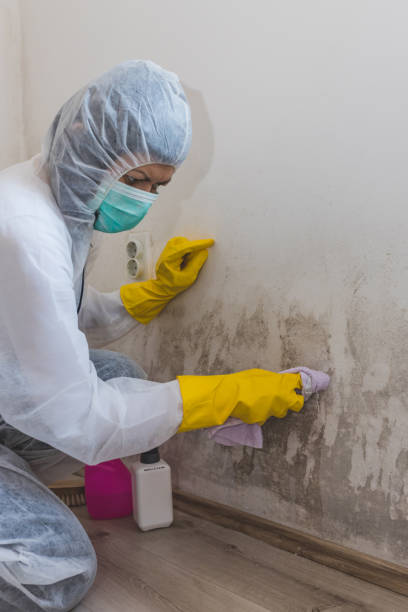 Best Mold Remediation for Healthcare Facilities  in Middletown, KY