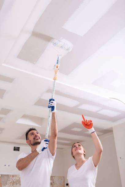 Best Mold Removal for HVAC Installations  in Middletown, KY