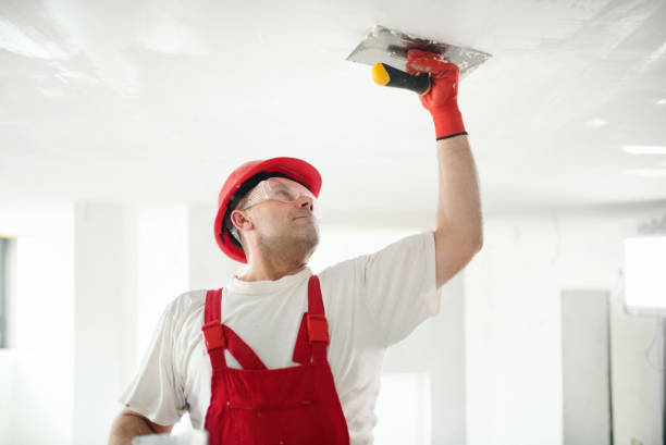 Best Basement Mold Removal  in Middletown, KY