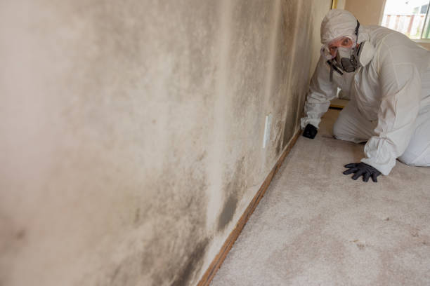 Best Attic Mold Removal  in Middletown, KY